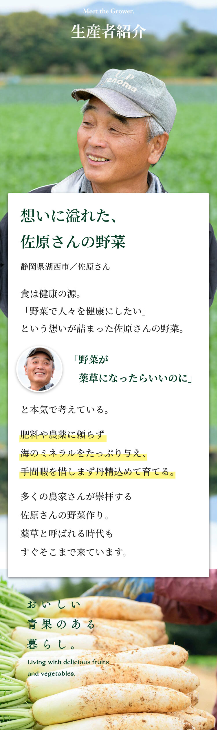 想いに溢れた、佐原さんの野菜。「野菜で人々を健康にしたい」肥料や農薬に頼らず海のミネラルをたっぷり与え育てる。