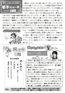 蘭夢ニュースイメージ