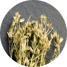 有効成分センブリ抽出液