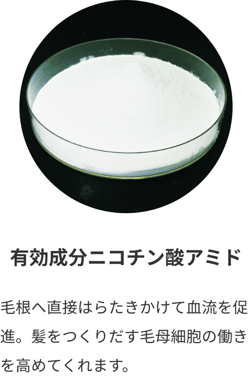 有効成分ニコチン酸アミド