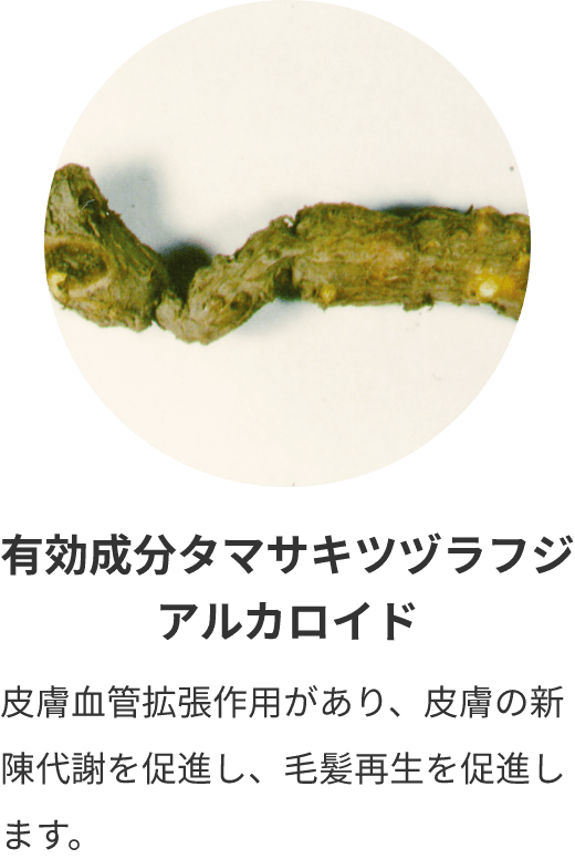 有効成分タマサキツヅラフジアルカロイド