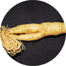 ニンジンエキス