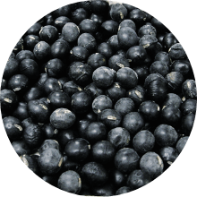 加水分解黒豆エキス