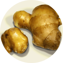 ショウキョウエキス