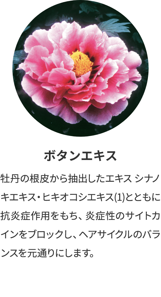 ボタンエキス