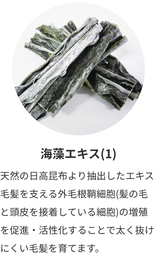 海藻エキス(1)