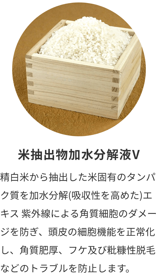 米抽出物加水分解液