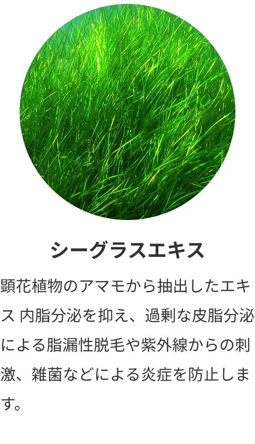 シーグラスエキス