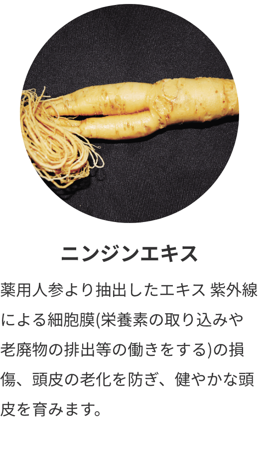 ニンジンエキス