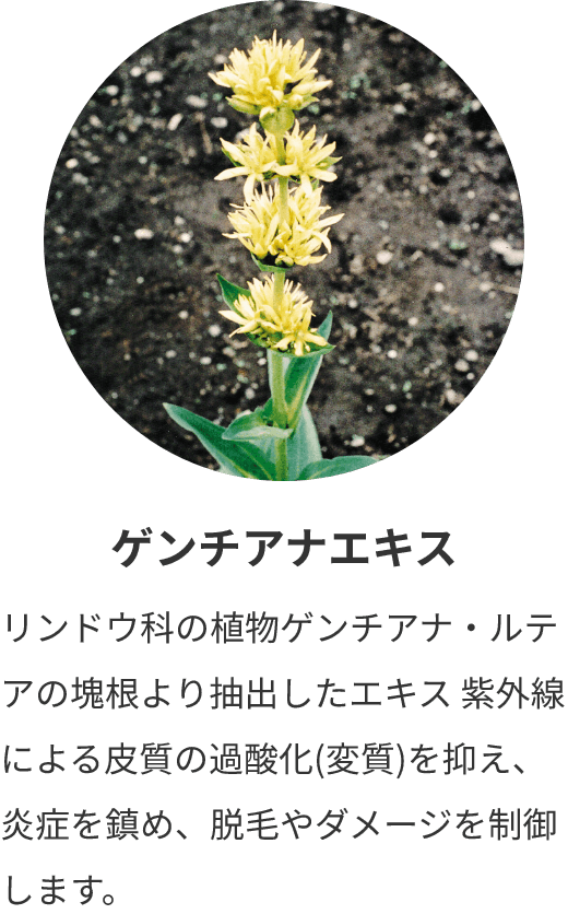 ゲンチアナエキス