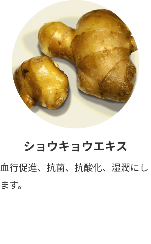 ショウキョウエキス