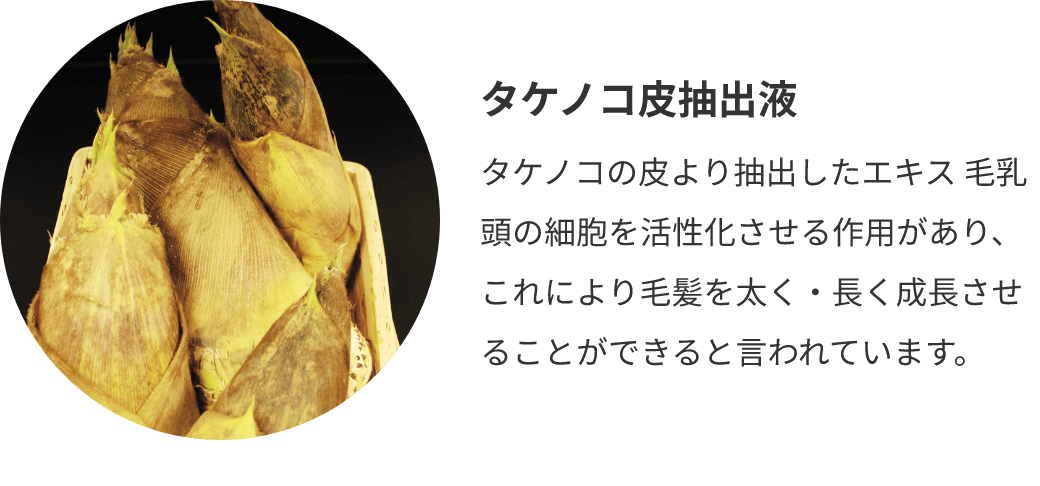 タケノコ皮抽出液