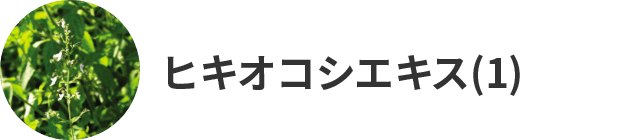 ヒキオコシエキス