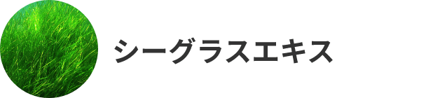シーグラスエキス