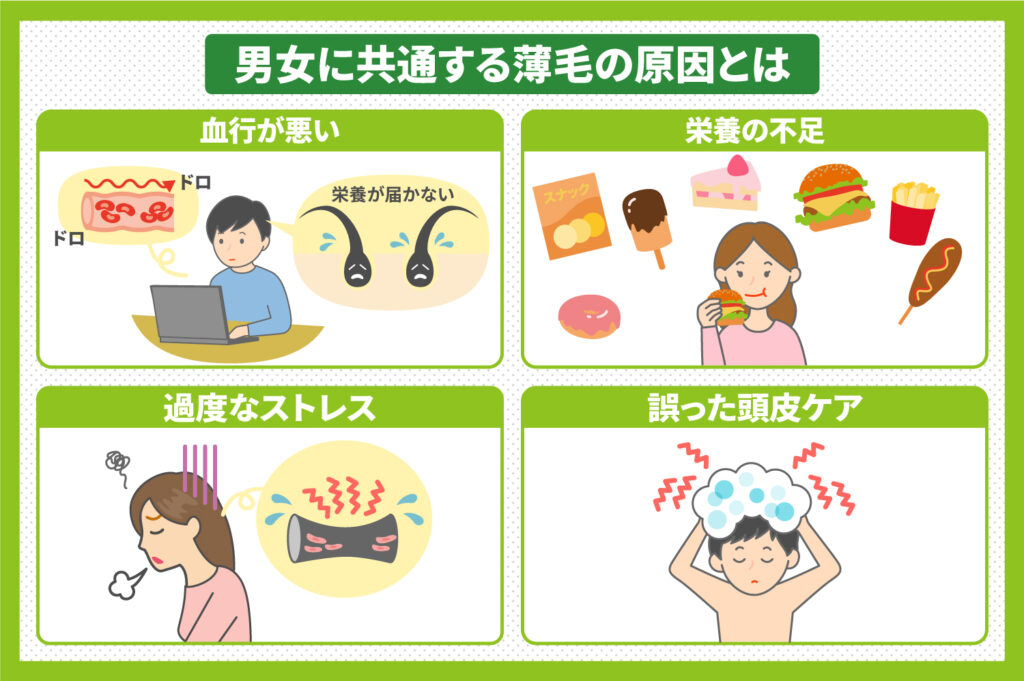 薄毛-原因
