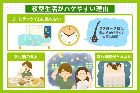 夜型の人はハゲると言われる理由のイメージ画像