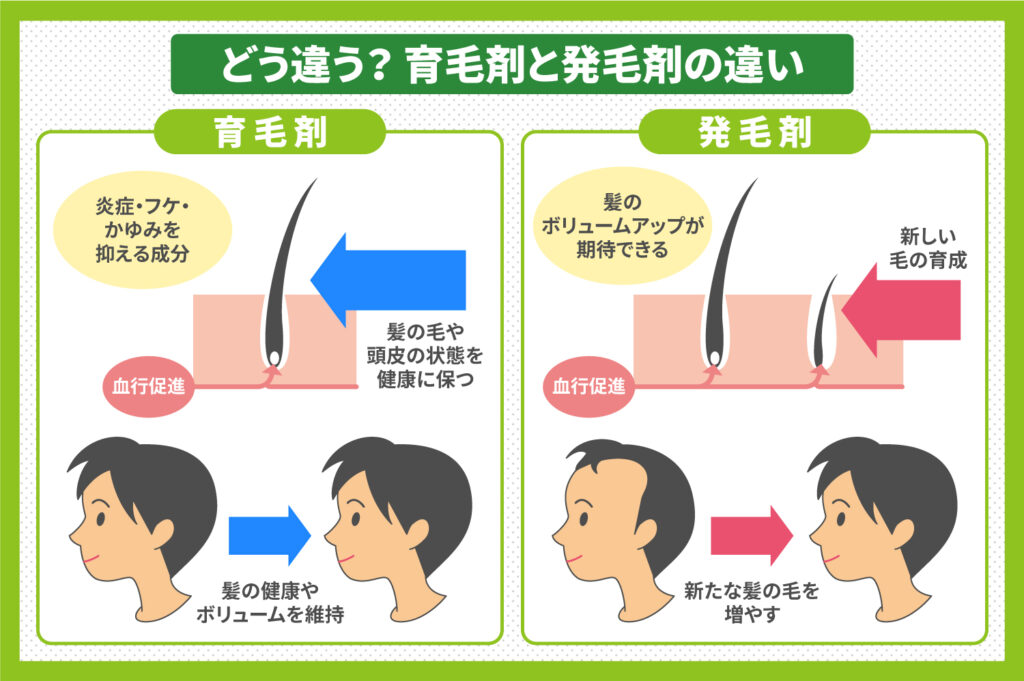 どう違う?育毛剤と発毛剤の違い