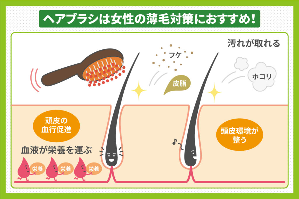 ヘアブラシは女性の薄毛対策におすすめ！