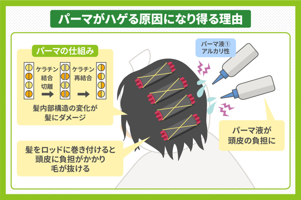 パーマがはげる原因になりうる理由