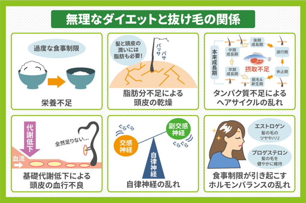 無理なダイエットと抜け毛の関係