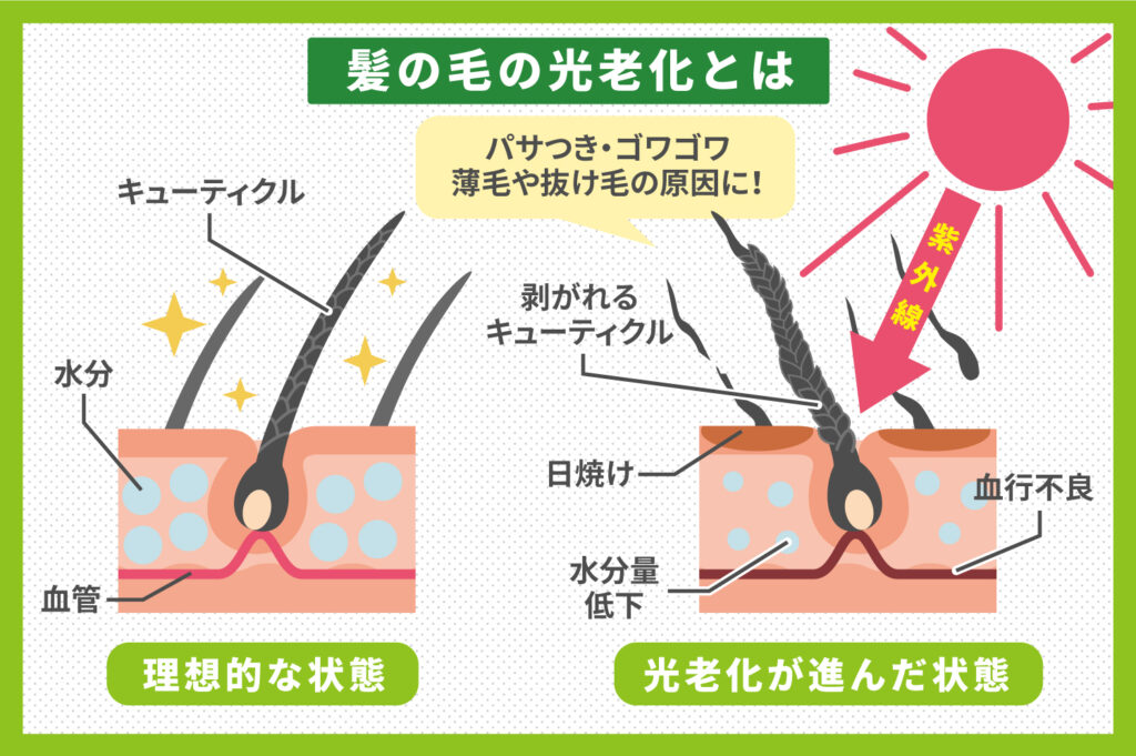 「光老化」は頭皮にも？