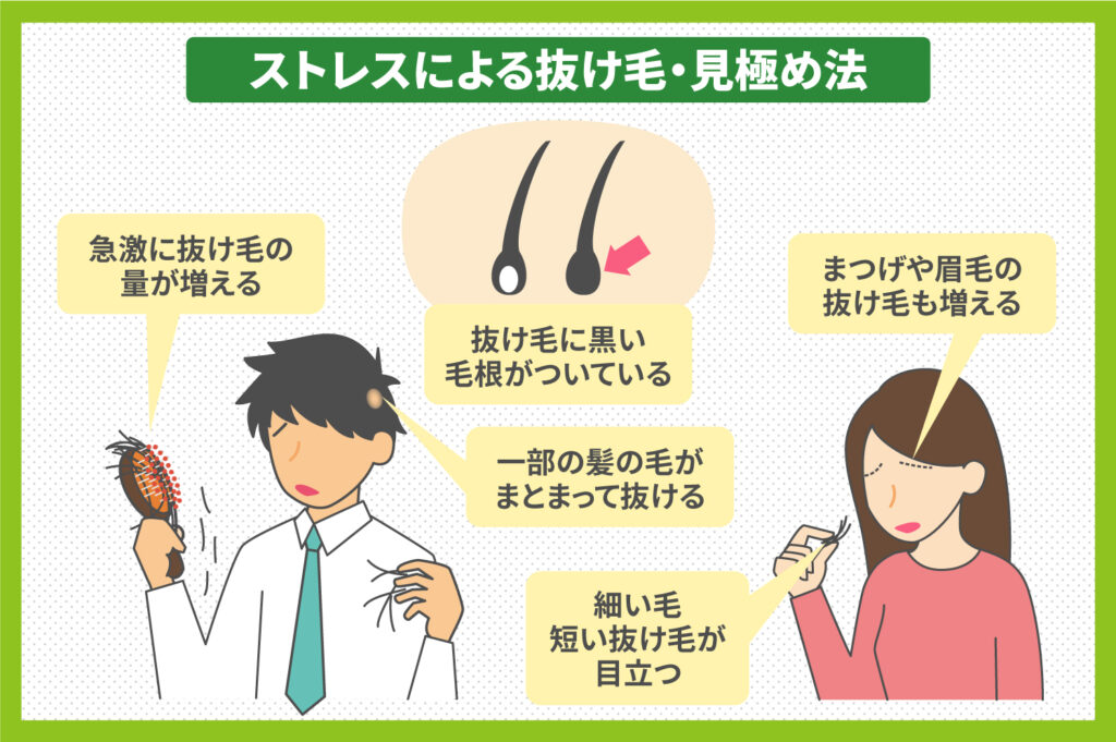 ストレスによる抜け毛かどうかを見分けるポイント