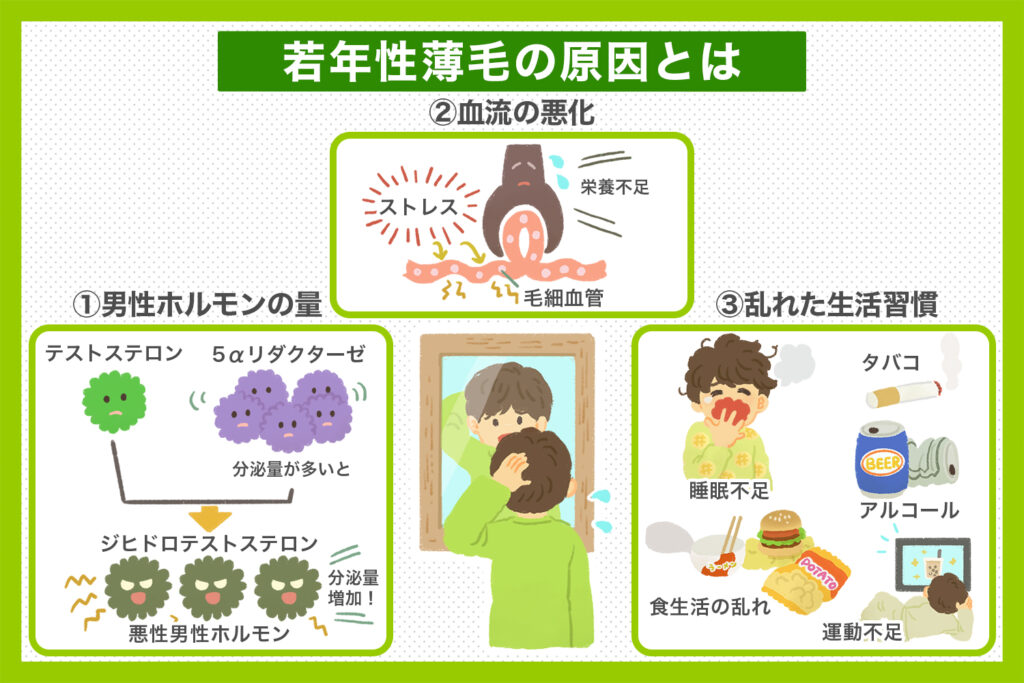 若年性薄毛の原因とは