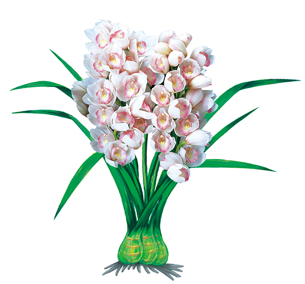 保湿や育毛を促す成分が含まれる「マリーロランサン」