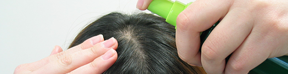 蘭夢の使用イメージ