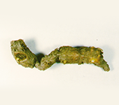 有効成分タマサキツヅラフジアルカロイド