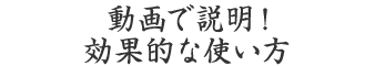 動画で説明