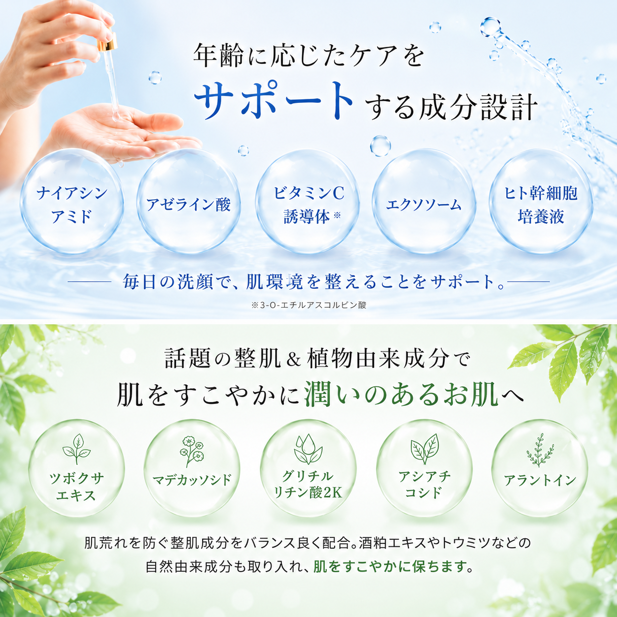 レックスロウウォッシュ