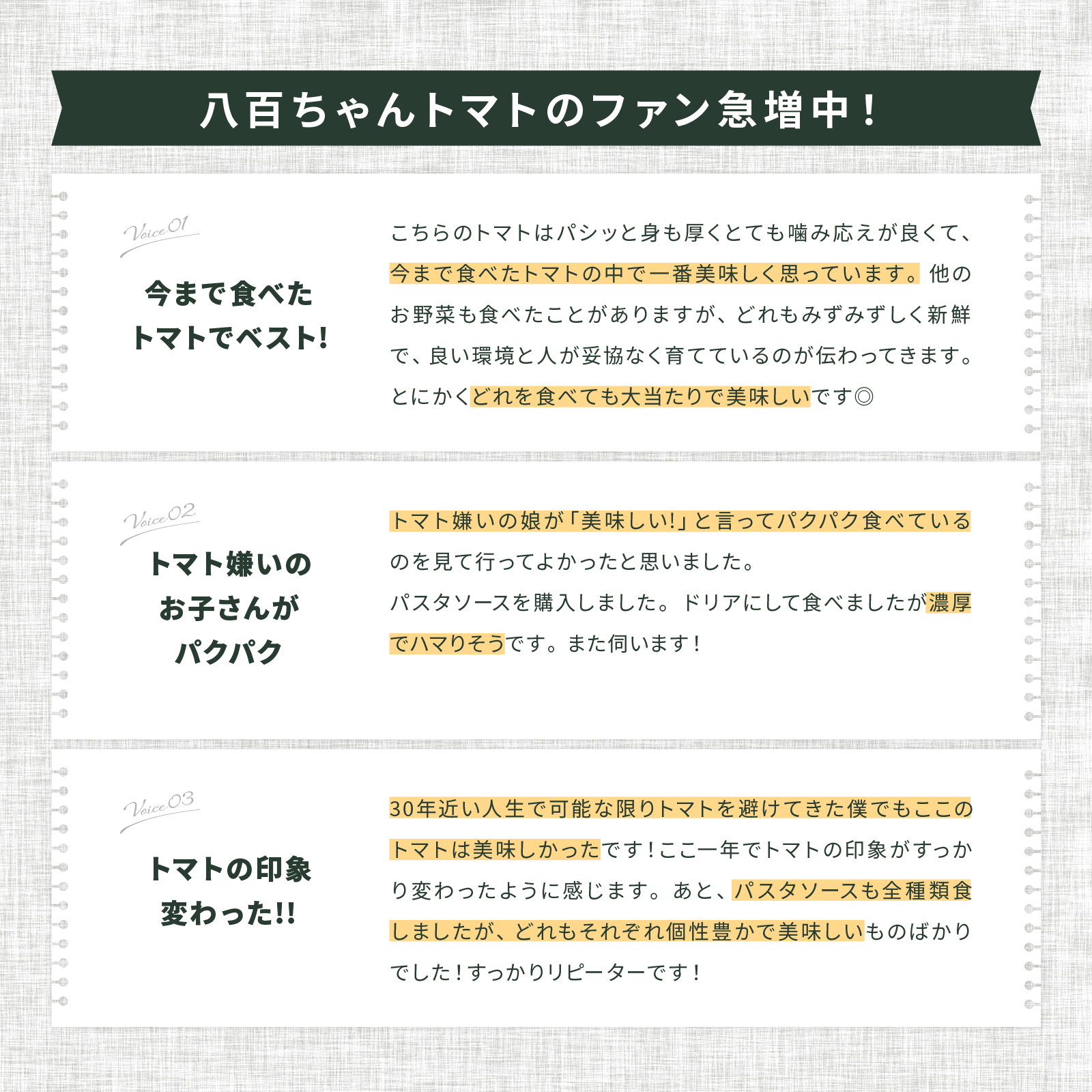 パスタソース　ガーリック 内容量: 340g