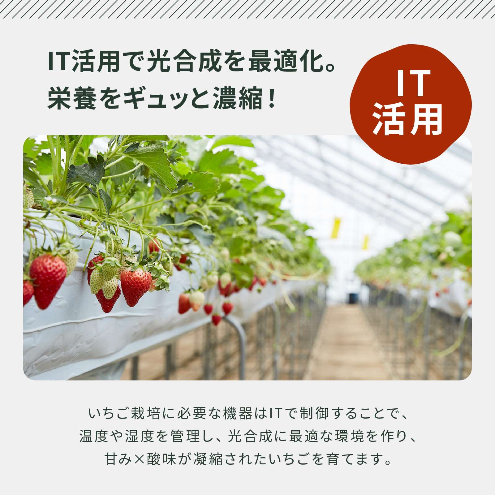 いちごバター　130g