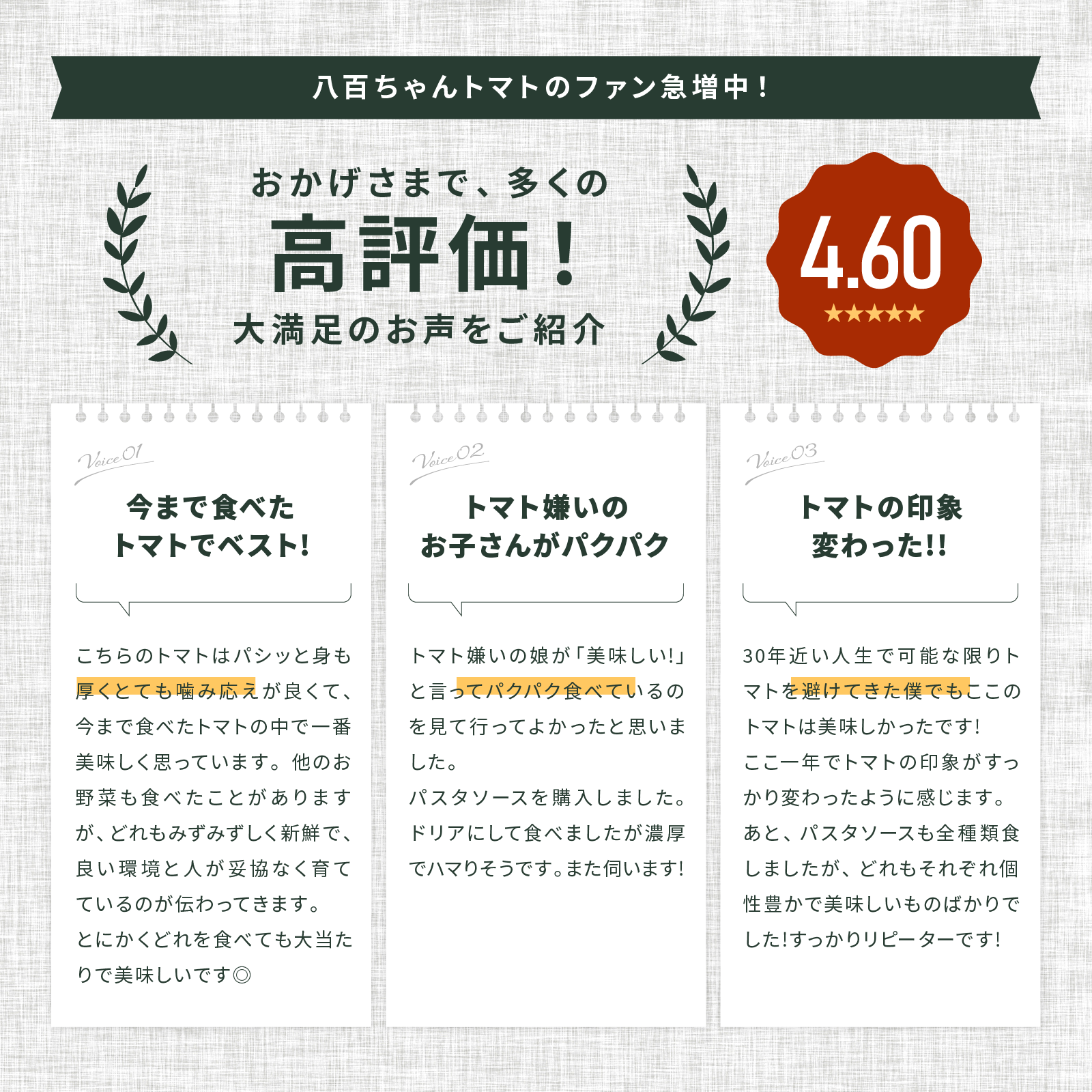 パスタソース　ガーリック 内容量: 340g