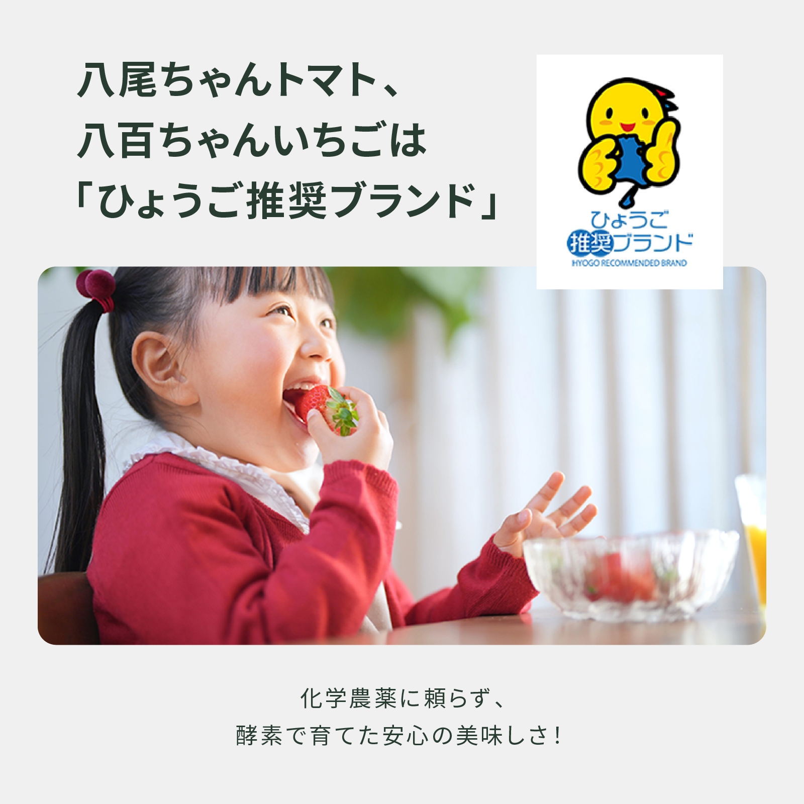 【ギフトBOX】ジャム2種＋パスタソース小2種＋ドレッシング1種