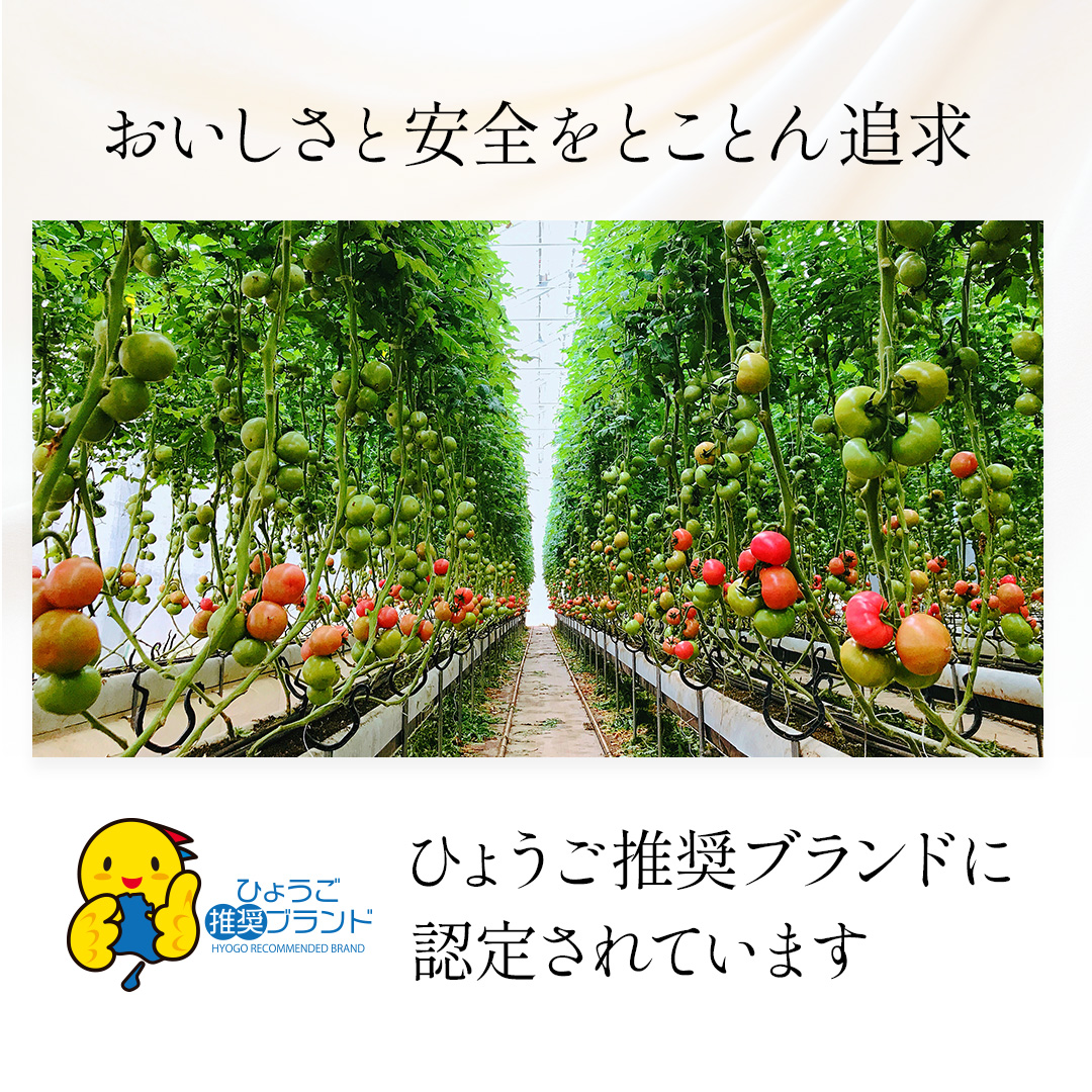 【送料無料　ギフトBOX】3種のトマトジュース（1リットル）3本セット