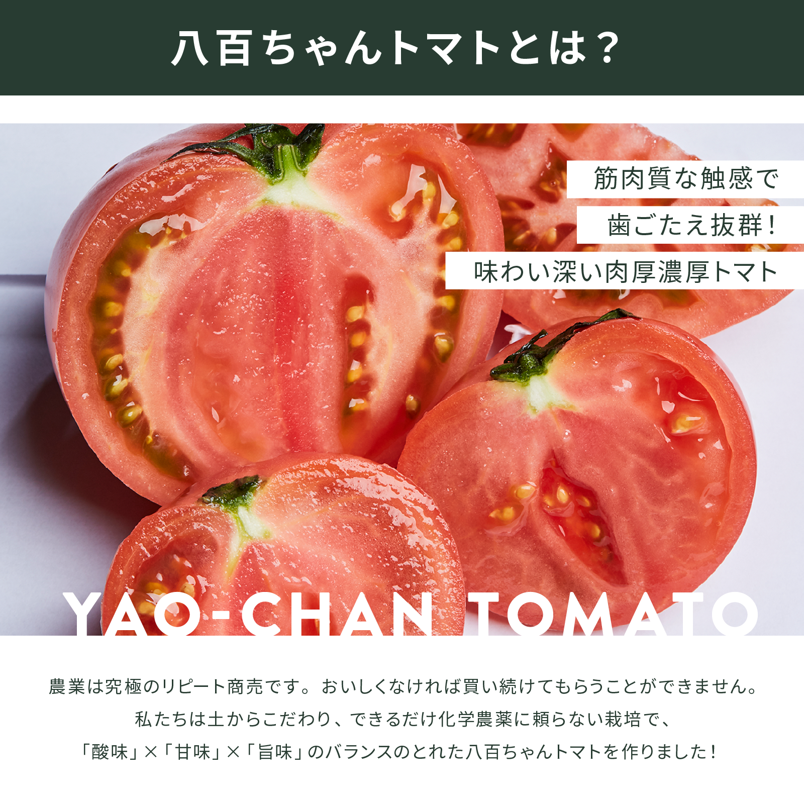 イエロートマトドレッシング　200㎖