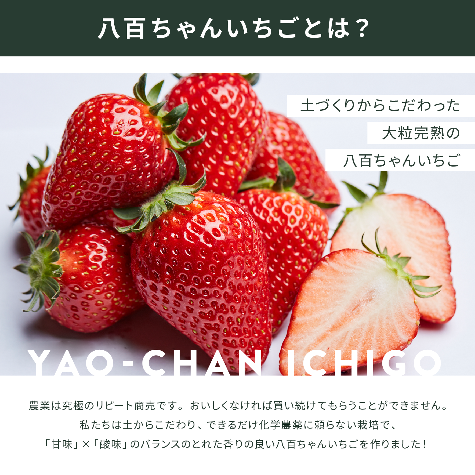 いちごドレッシング　200㎖