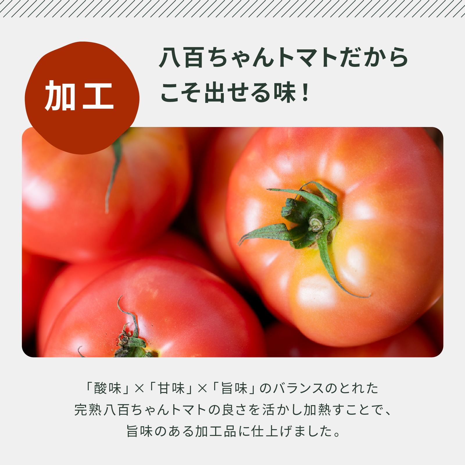 本格パスタソース　ガーリック　120g