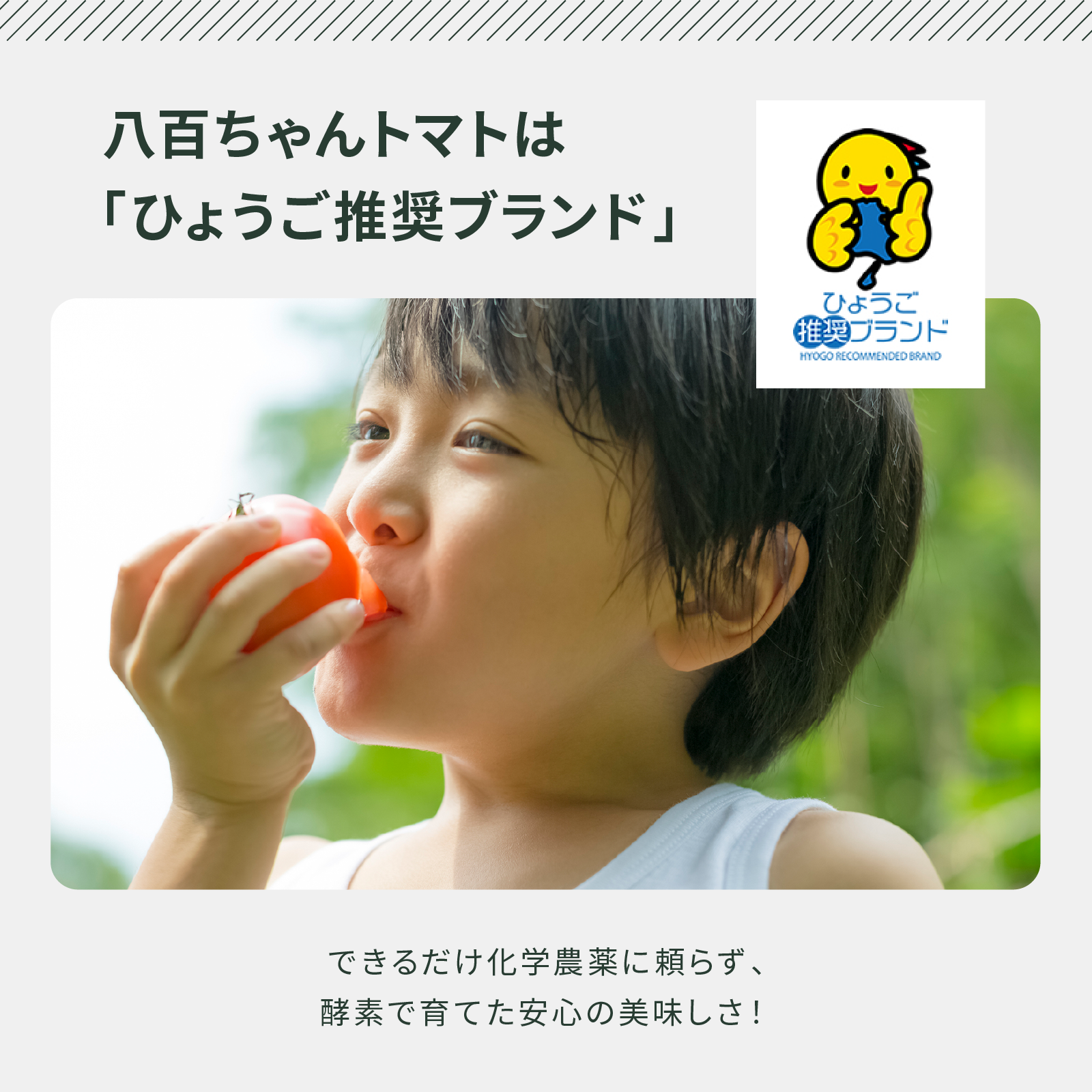 大玉トマトジュース　500㎖