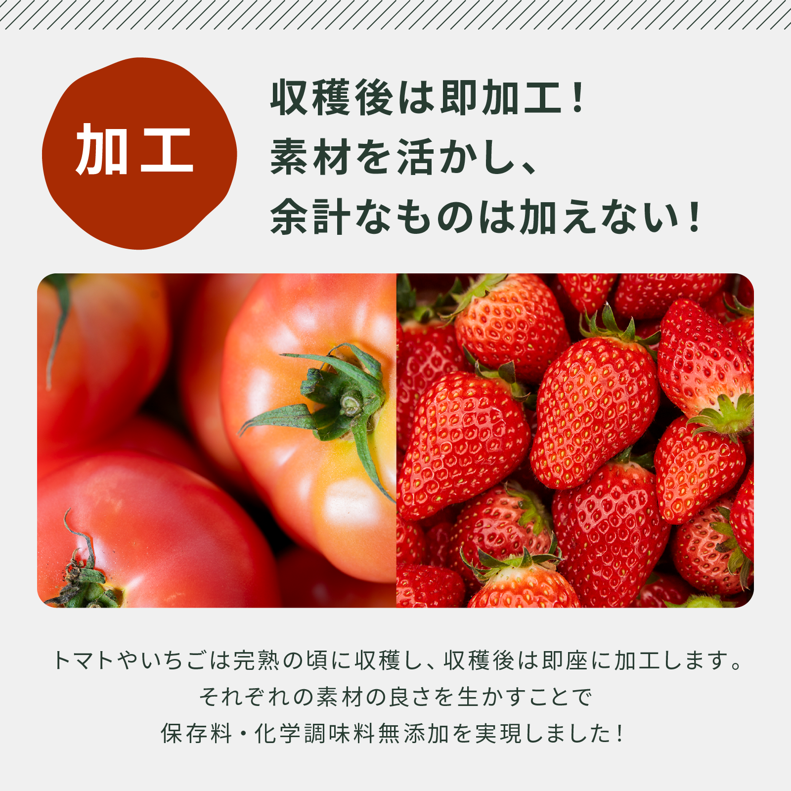 【ギフトBOX】ジャム2種＋パスタソース小2種＋ドレッシング1種