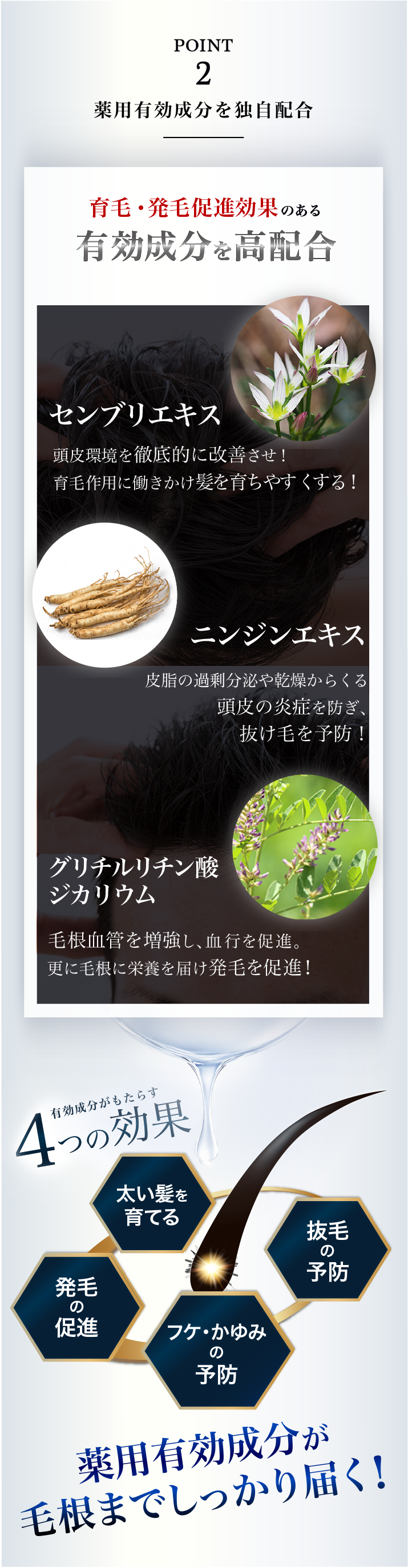 こだわりぬいた成分配合