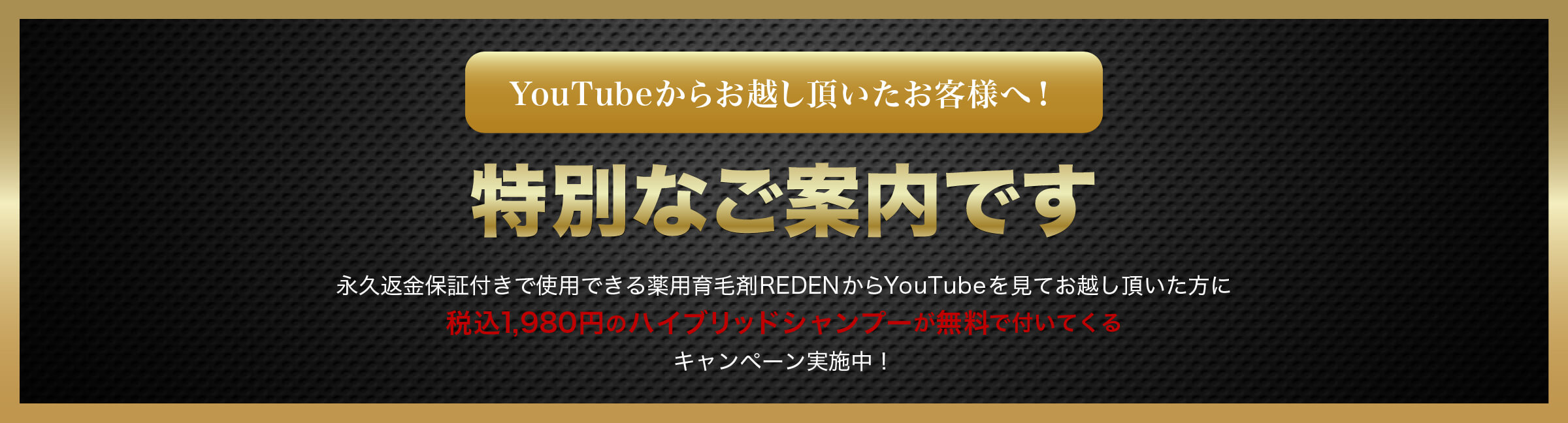 自分の髪で未来を変える