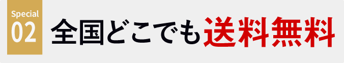 special02、全国どこでも送料無料