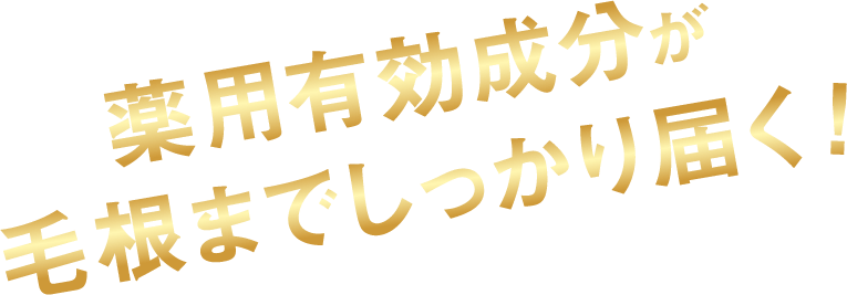薬用有効成分が根元までしっかり届く！