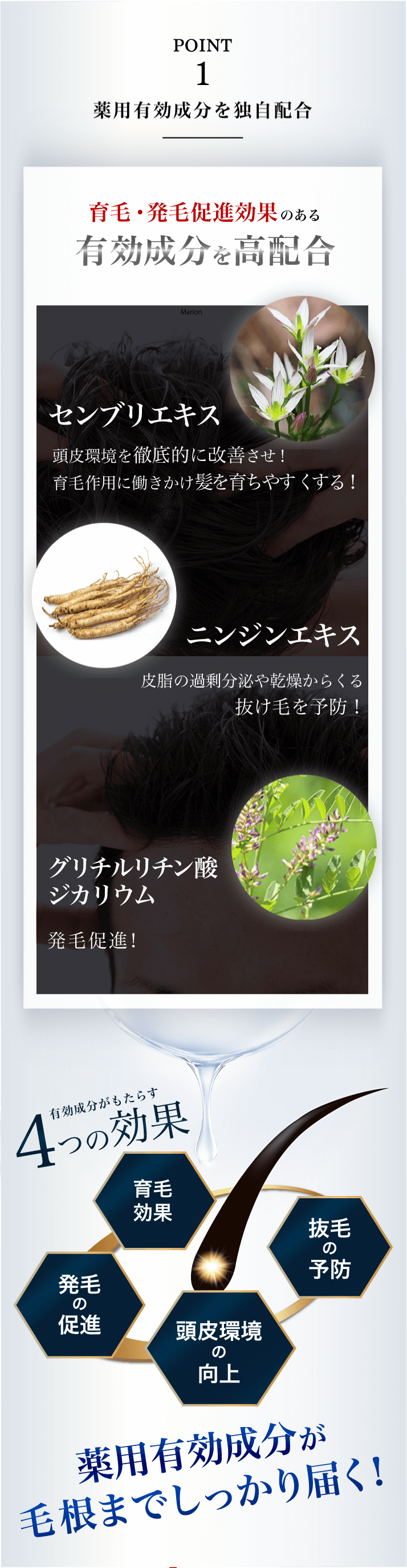 こだわりぬいた成分配合