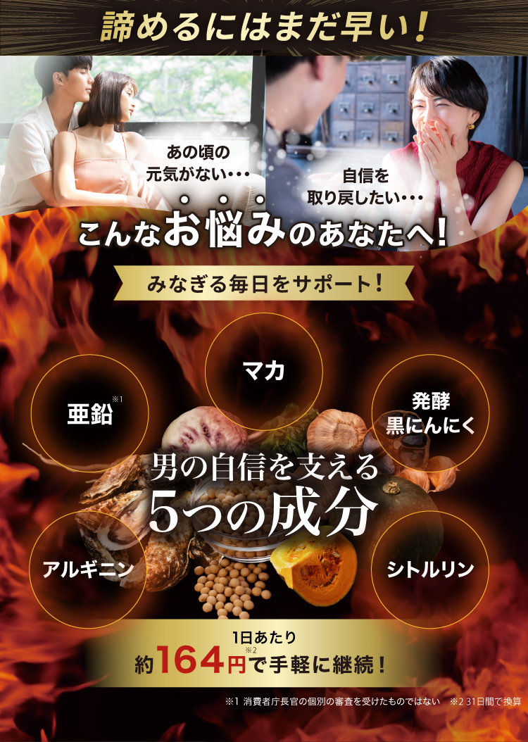 諦めるにはまだ早い！みなぎる毎日をサポート！