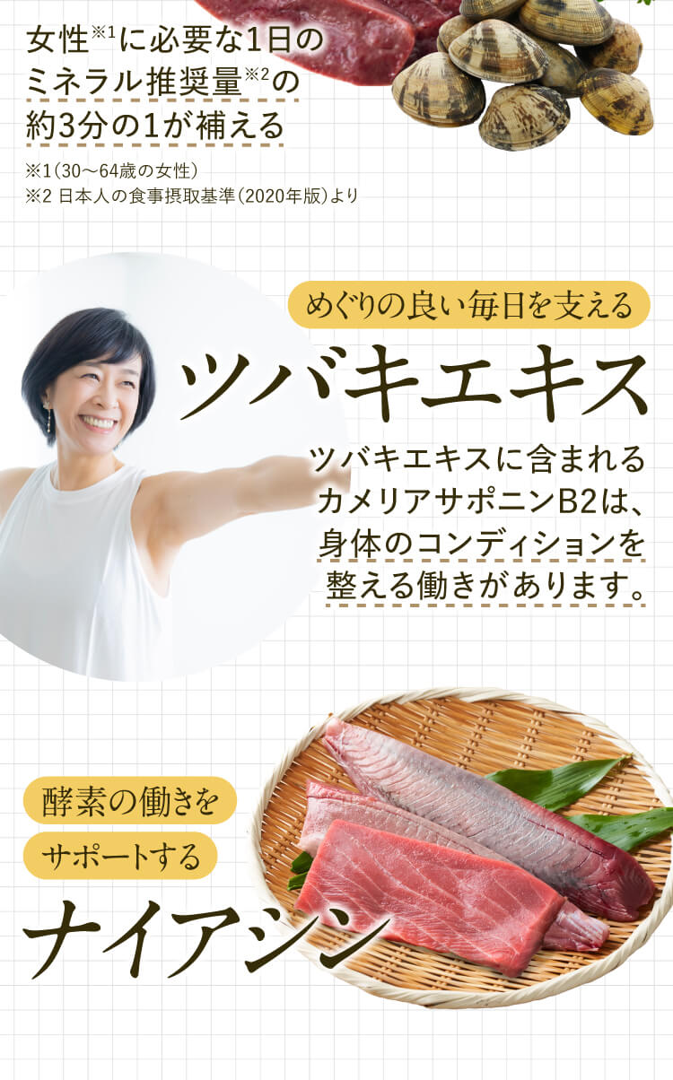 めぐりの良い毎日を支えるツバキエキス酵素の働きをサポートするナイアシン