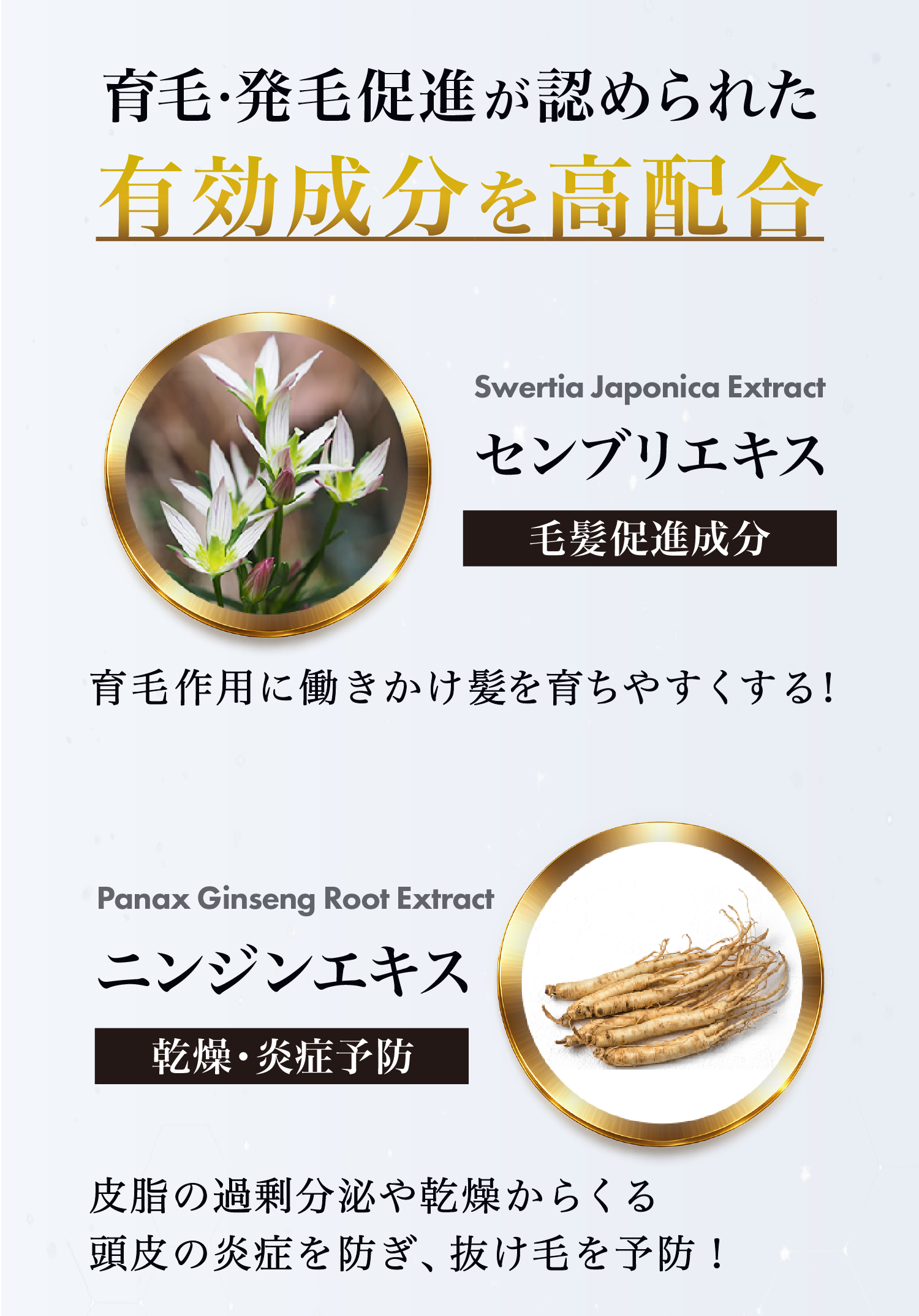 育毛・発毛促進が認められた有効成分を高配合